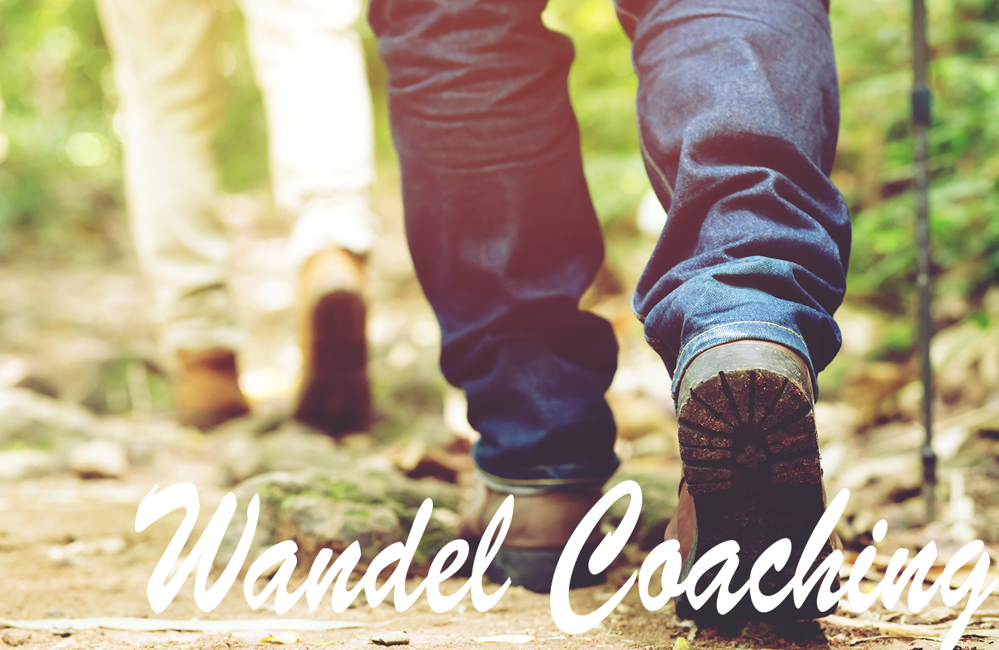 Wandel Coaching